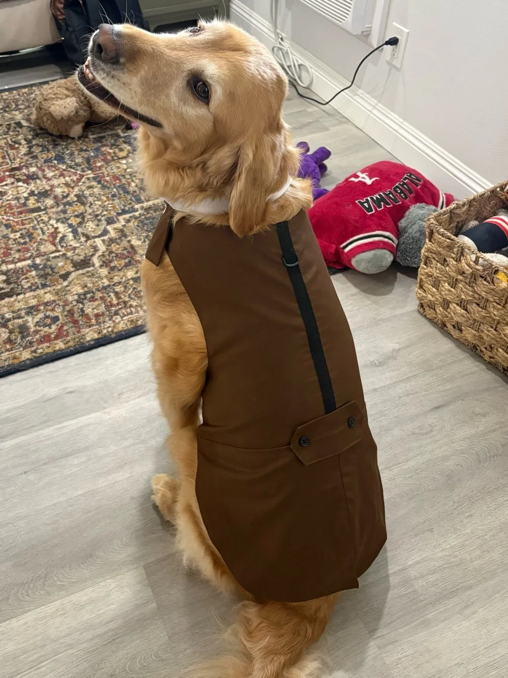 Brown Dog Coat Suit w/ Bib